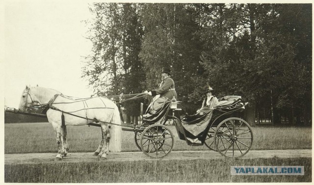 Архив фотографий Великого князя из тайника в арбатской квартире