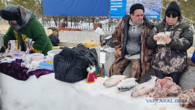 Новый Уренгой-Надым, покатушки  в выходные на День Оленевода