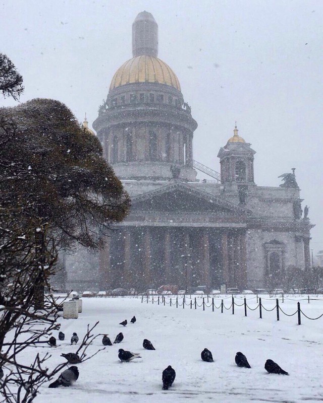 Фото интересные и не только