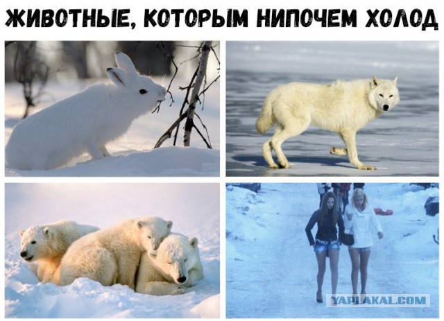 Немного пятничного хаоса и чернухи