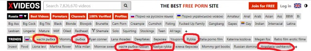 Настя Рыбка вошла в топ поисковых запросов на Pornhub в России
