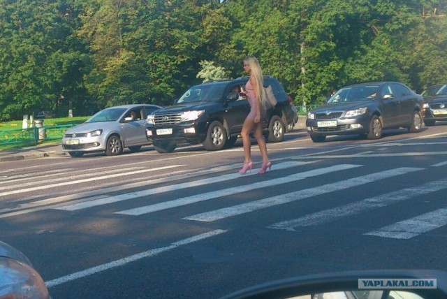 Звездуны и звездульки негодуют