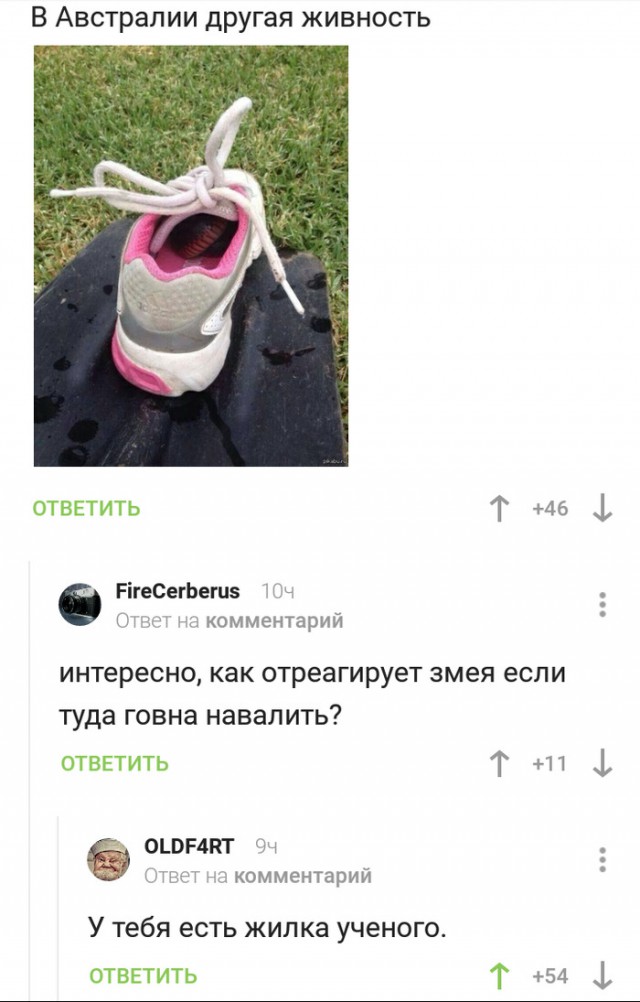 Не очень адекватный юмор