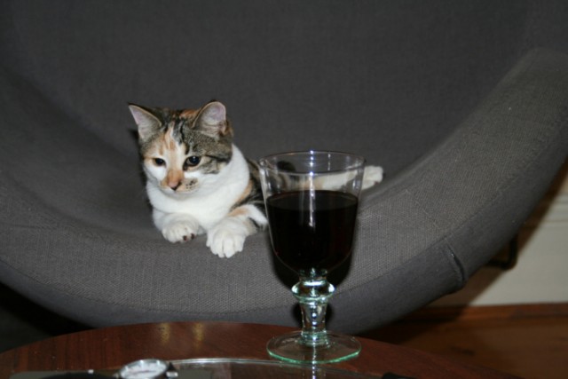 Котопятница: Курить я буду, но пить не брошу ))