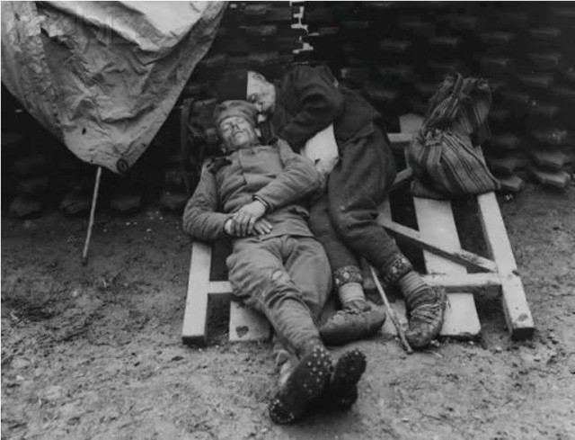 История в фотографиях