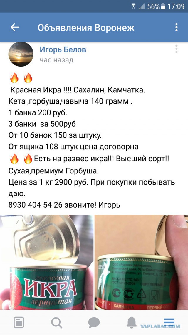Россию накрыла волна поддельной икры. В банках оказались желатин, краситель и ароматизатор