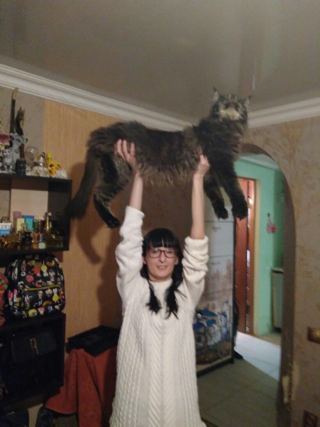 Немного милоты