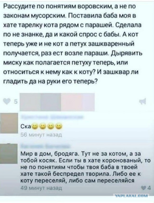 Смешные комментарии из социальных сетей 14.12.2018