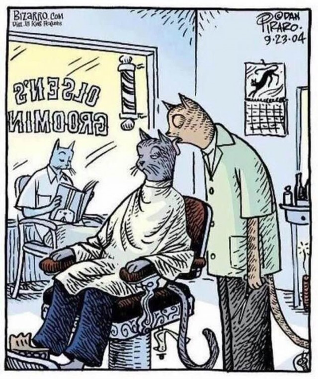 Рисованные киски