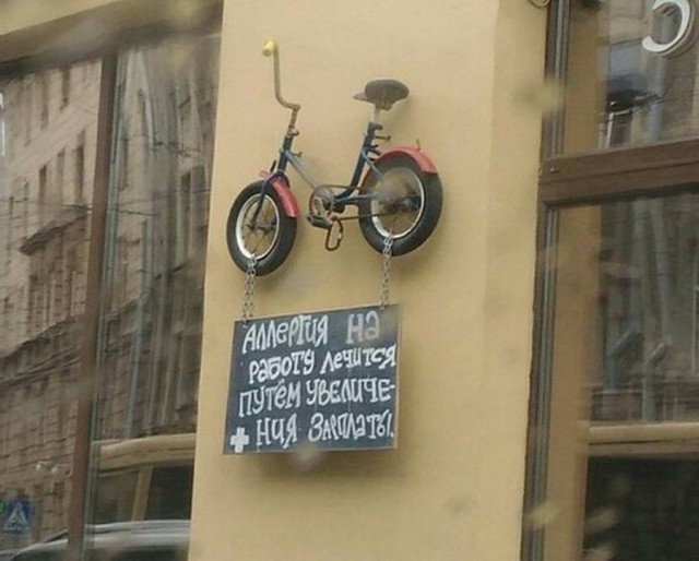 Дурацкие картинки