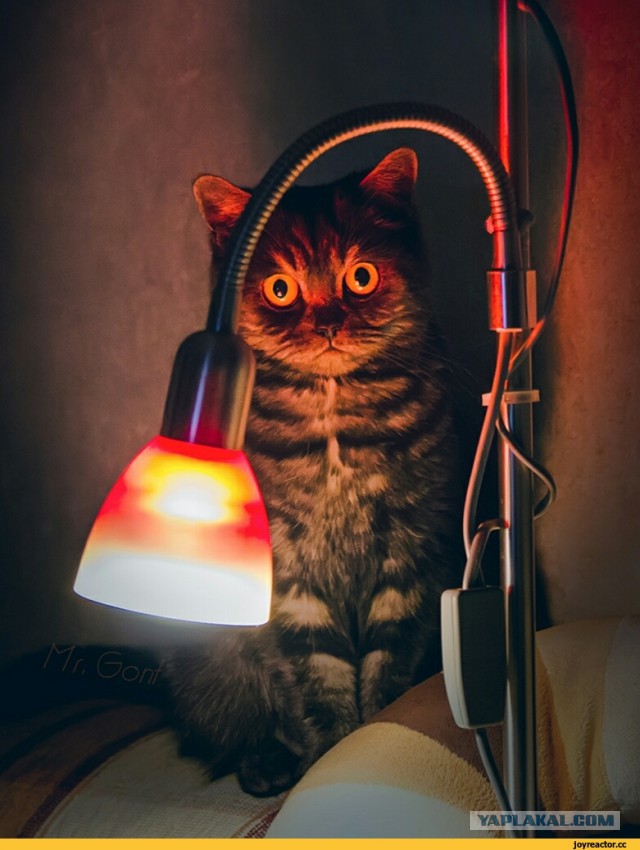 Тётя, я здесь не работаю!
