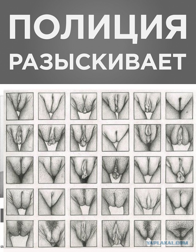 Наркомания, деградация, упоротость.