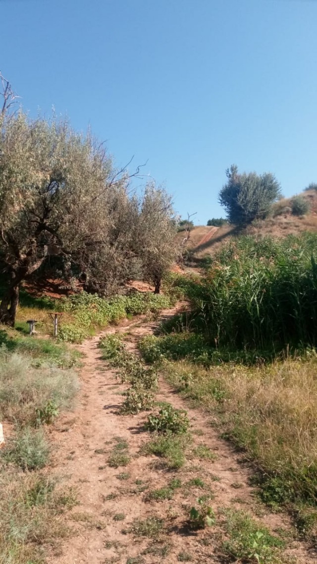 Мыть сапоги в индийском океане, или как мы в Морской Чулек гоняли