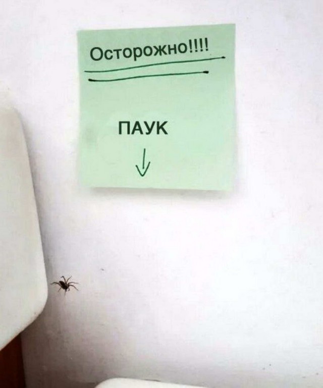 Делаем уроки, бутерброды, охотничью собаку и присоединяем Австрию к России