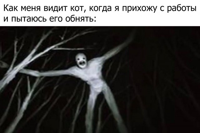 Немного картинок с надписями и без - 42