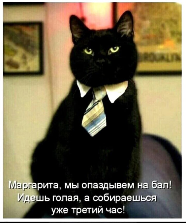 Немного картинок для настроения 28.04.20