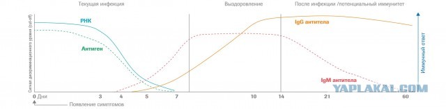 Пандемия. Коронавирус. Россия и мир. Последняя информация. Часть 17
