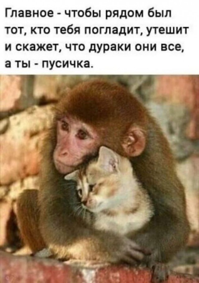 Немного картинок для настроения 18.07.20