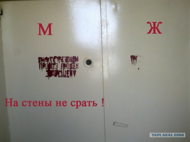Фотожаба: Веселый больничный лифт