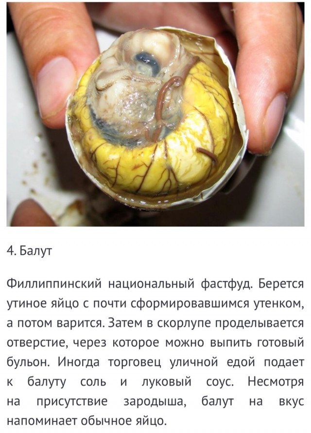 Самые отвратительные блюда