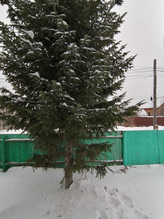 Двойные стандарты