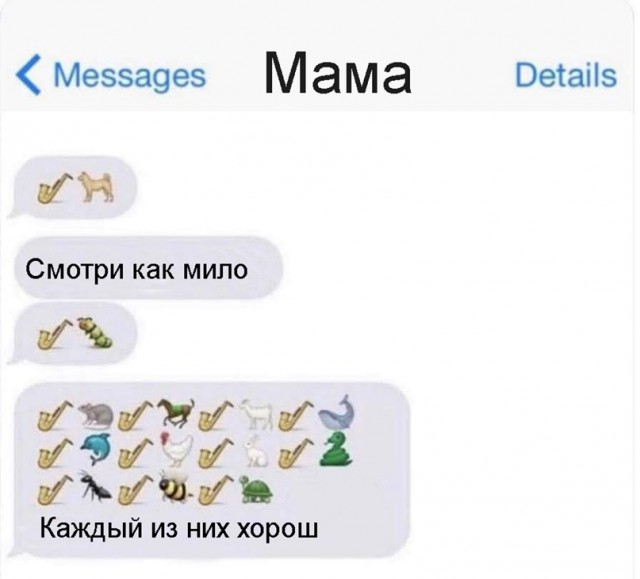 Весёлый полтишок 19.03