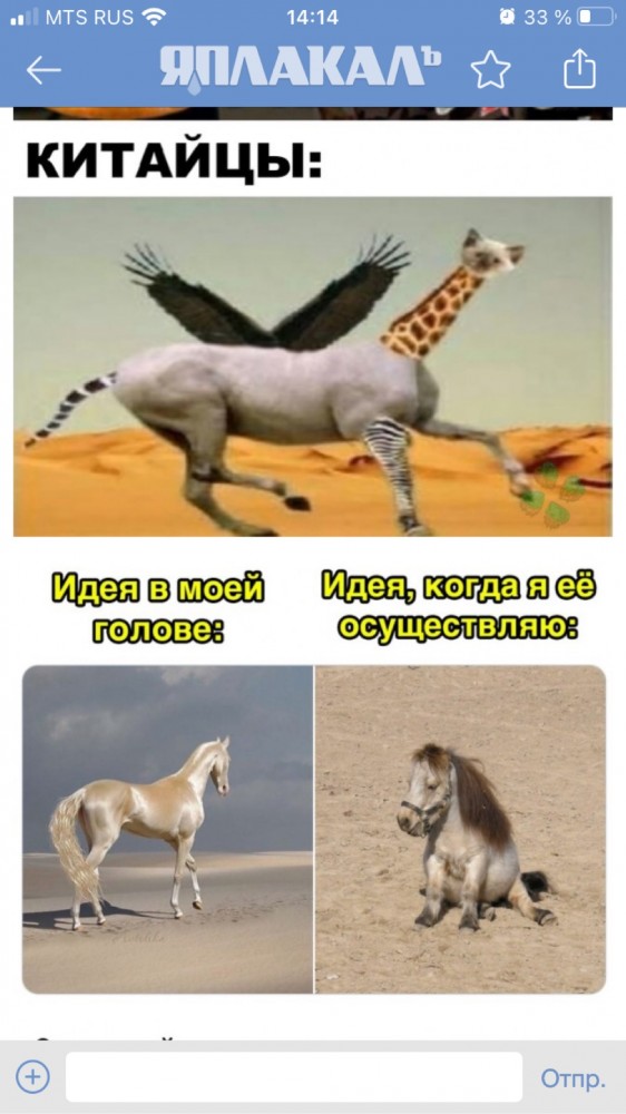 Весёлый полтишок 4.05