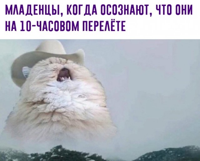Картинки и мемы для настроения 12.05.2021