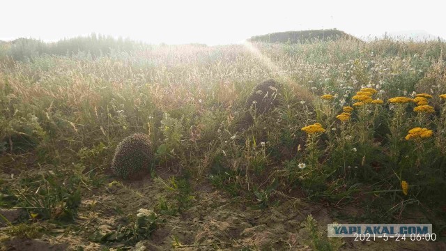 Отдых на юге. Туризм / Дагестан / Чечня