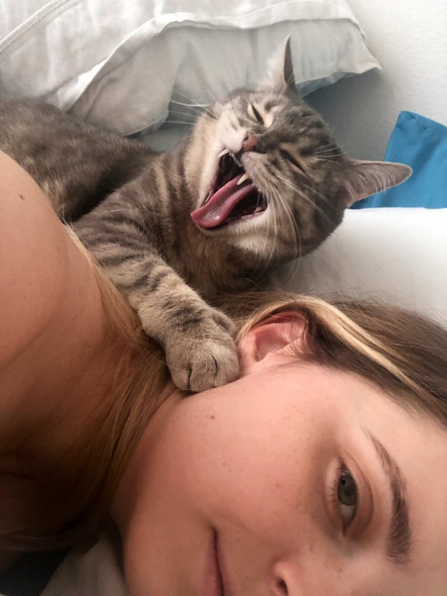 Девушки котовторника
