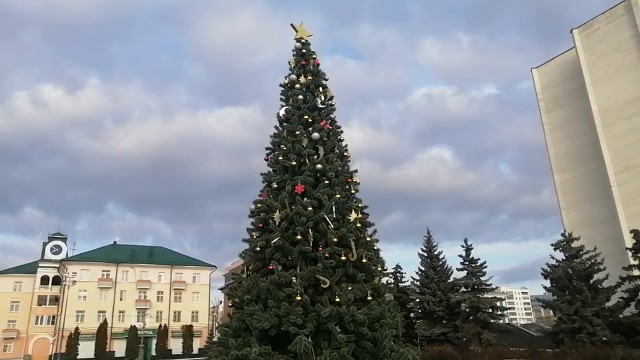 Сегодня днём в Воронеже у гипермаркета на Шишкова установили первую новогоднюю ёлку