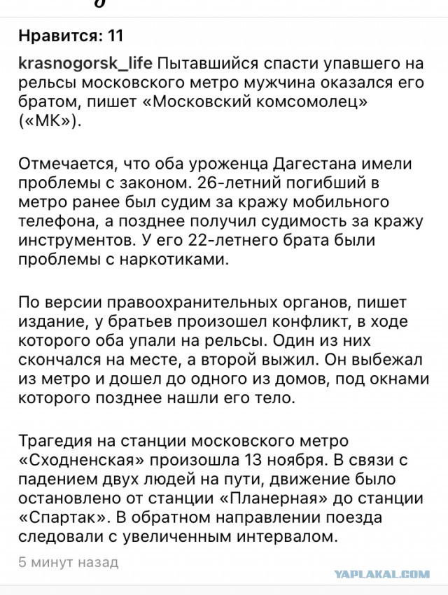 Под поезд на «Сходненской» упали два человека, один хотел спасти другого