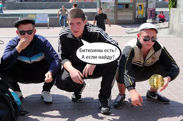 16713149.jpg