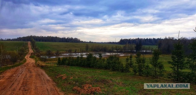 Просто любительские фото