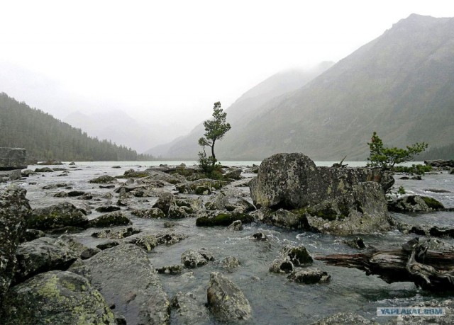 Путешествие на Алтай