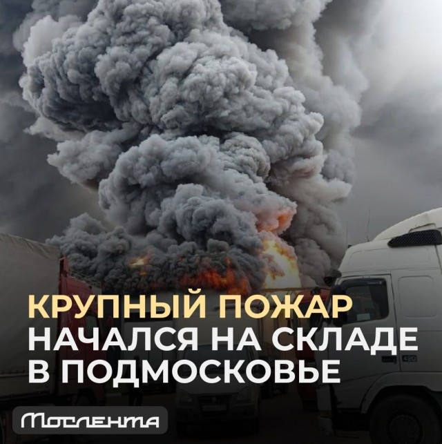 Пандемия съехавших крыш - разновидности болезни. Россия и мир. Часть 45.
