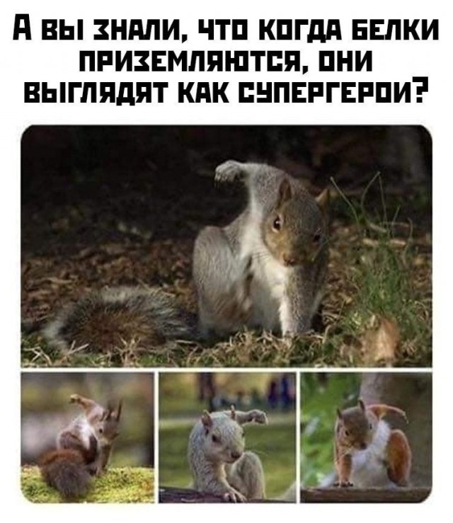 Поржать немного с утра!
