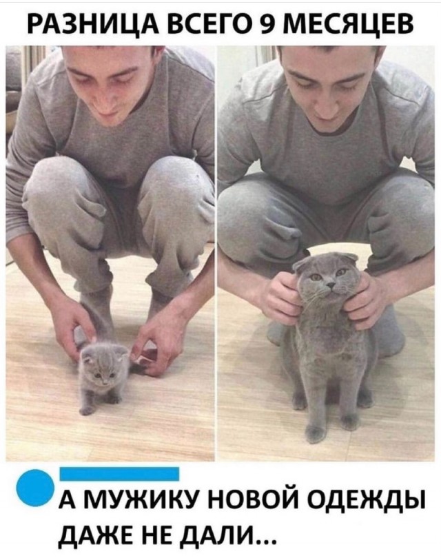 Тяжело без мужика-то поди?