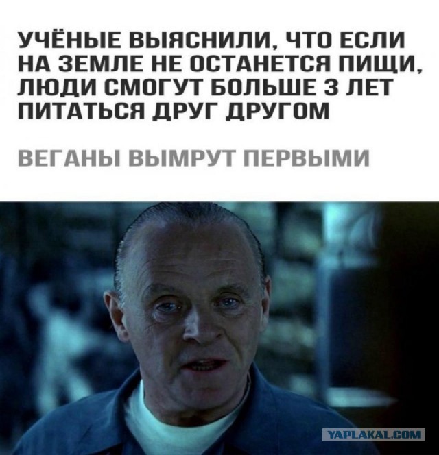 Картинки и мемы, всем хороших выходных