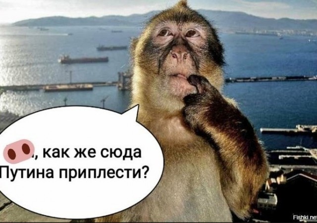 «Крепкому орешку» всё хуже