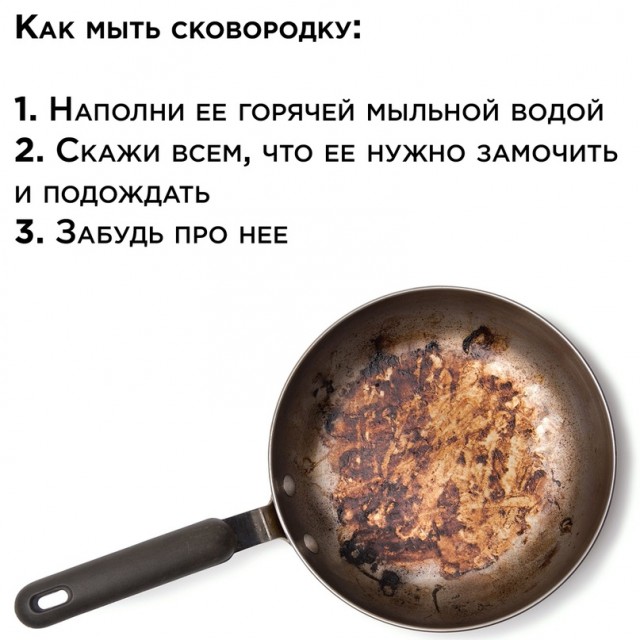 Весёлый полтишок 29.08.23