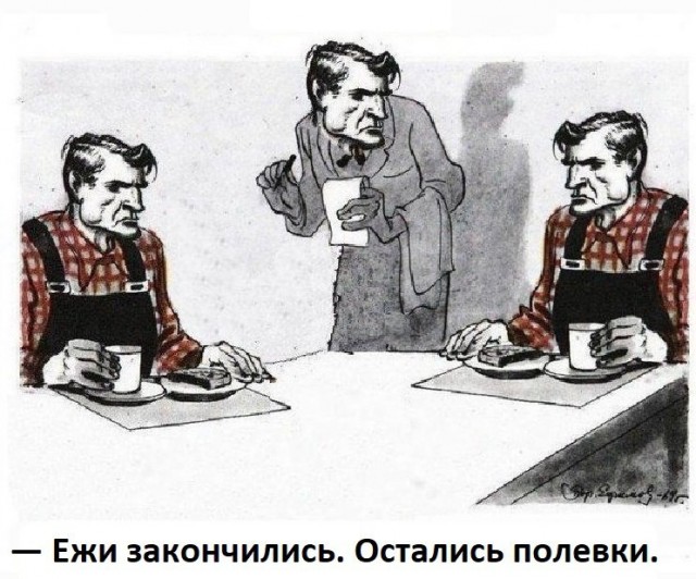 Власти установили лимит на добычу ежей и мышей в Свердловской области
