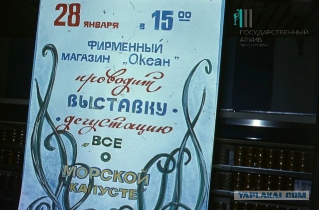 Фотографии из прошлого нашей страны - 34