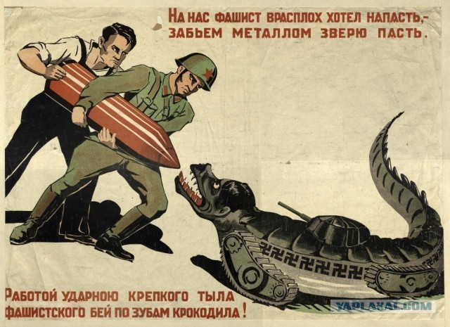 Незабудка - против СВО?.. Ах...еть!