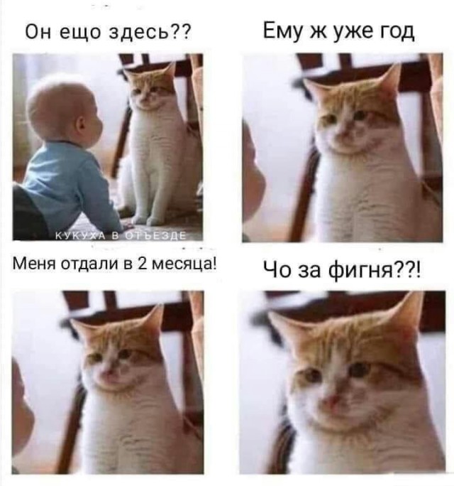 Деградильня