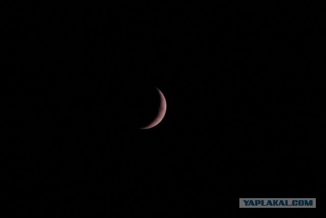 Просто фотка. Питер