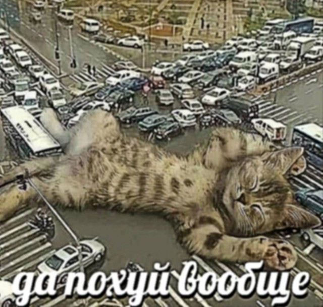 Сборник бабаянов или неожиданная помойка