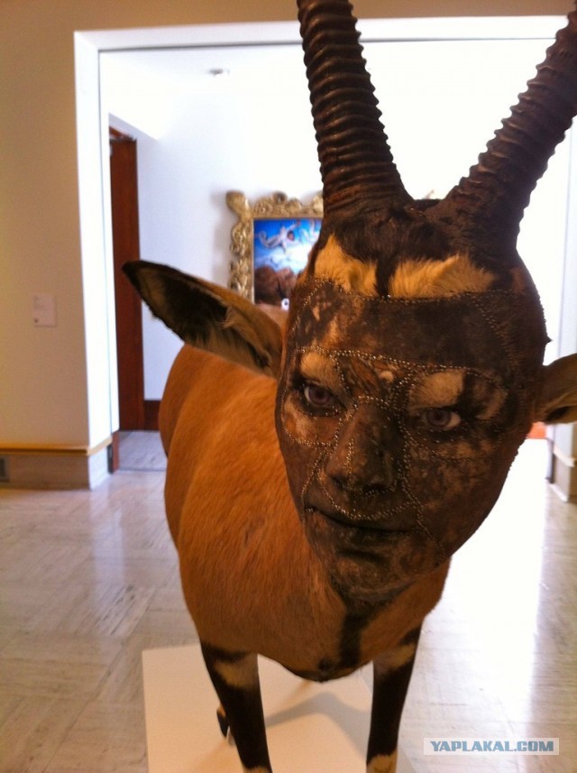 8 июня - День Козла