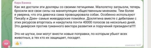 100 000 голосов против бродячих собак.
