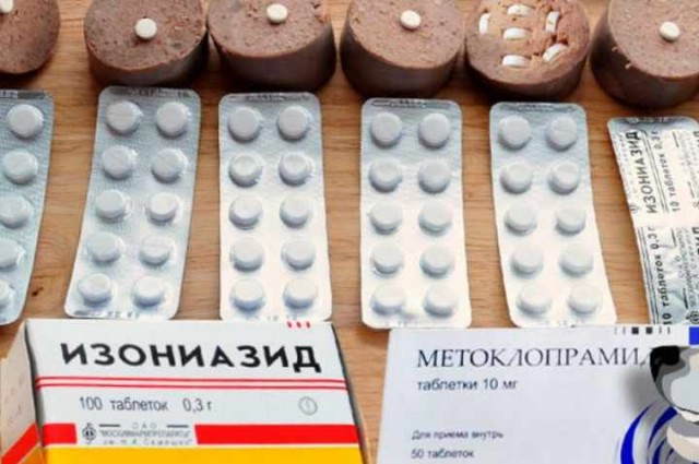 Бродячие собаки с точки зрения охотника